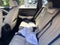 2025 Acura ADX A-Spec Advance Package