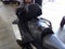 2020 Can-Am Spyder RT Limited Dark Base