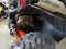 2023 Can-Am Maverick Sport X mr 1000R Base