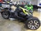 2019 Can-Am Ryker Rally Edition Base