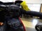 2016 Honda Gold Wing Base
