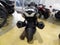 2023 Kawasaki Ninja ZX-14R ABS