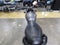 2024 Royal Enfield Hunter 350