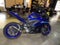 2024 Yamaha YZF R3 ABS