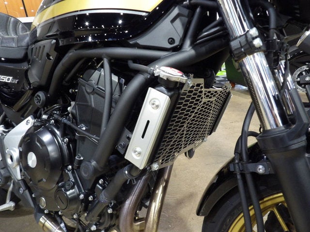 2025 Kawasaki Z650RS ABS
