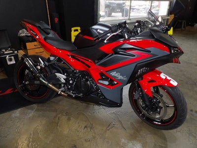 2024 Kawasaki Z500 ABS