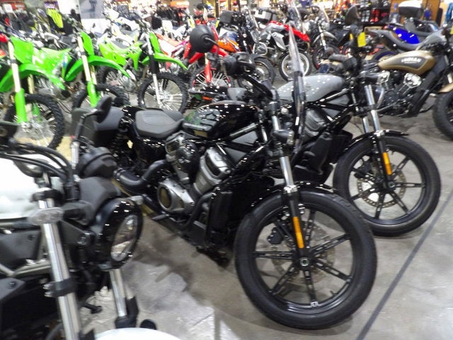 2025 Harley-Davidson Sportster Base