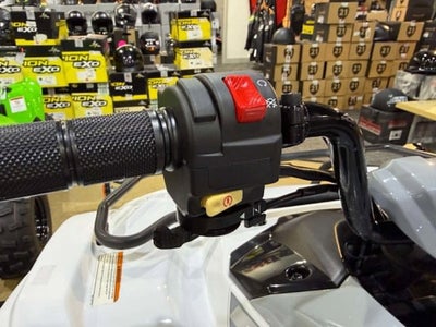 2024 Yamaha Grizzly 90 Base