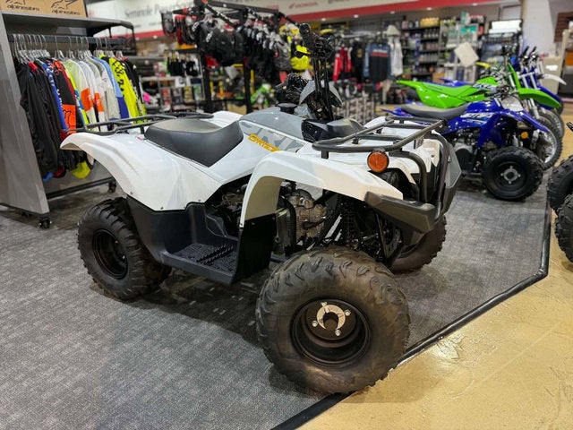 2024 Yamaha Grizzly 90
