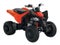 2026 Can-Am DS 250 Base
