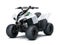 2027 Kawasaki KFX 50