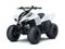 2027 Kawasaki KFX 90