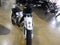 2026 Husqvarna FC 250 Factory Edition