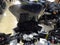 2023 BMW S 1000 XR Light White/M Motorsport 1000 XR