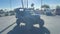 2022 Yamaha Wolverine RMAX4 1000 XT-R