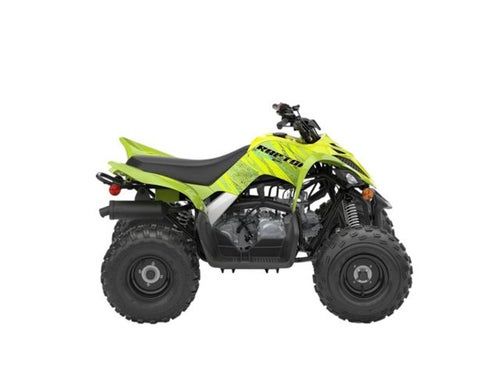 2026 Yamaha Raptor 110