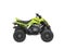 2026 Yamaha Raptor 110