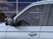 2026 Ford Expedition MAX Platinum®