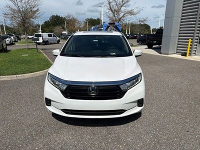 2024 Honda Odyssey Elite