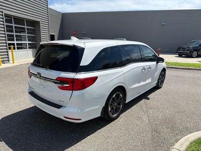 2024 Honda Odyssey Elite