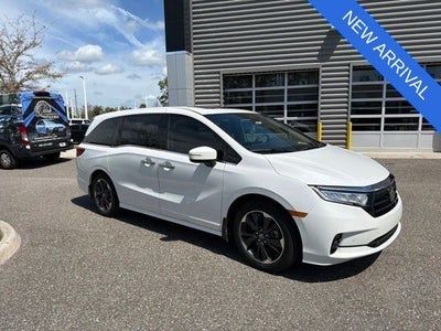 2024 Honda Odyssey Elite