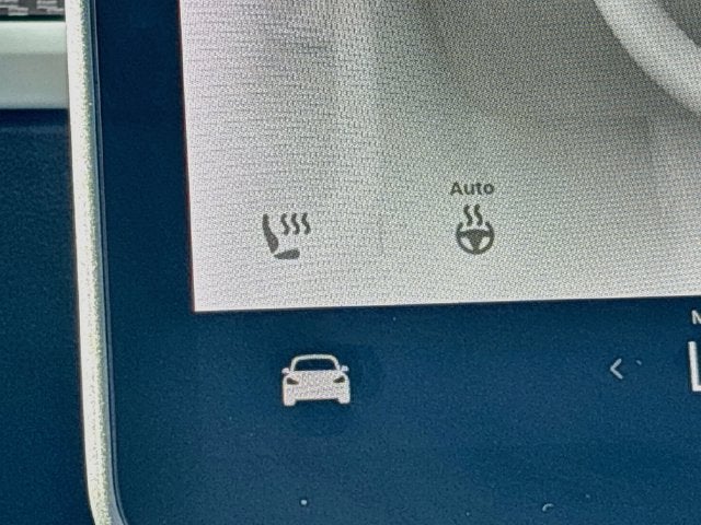 2021 Tesla Model 3 Performance