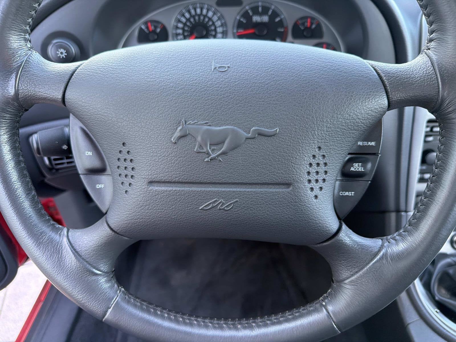 2003 Ford Mustang Premium Mach 1