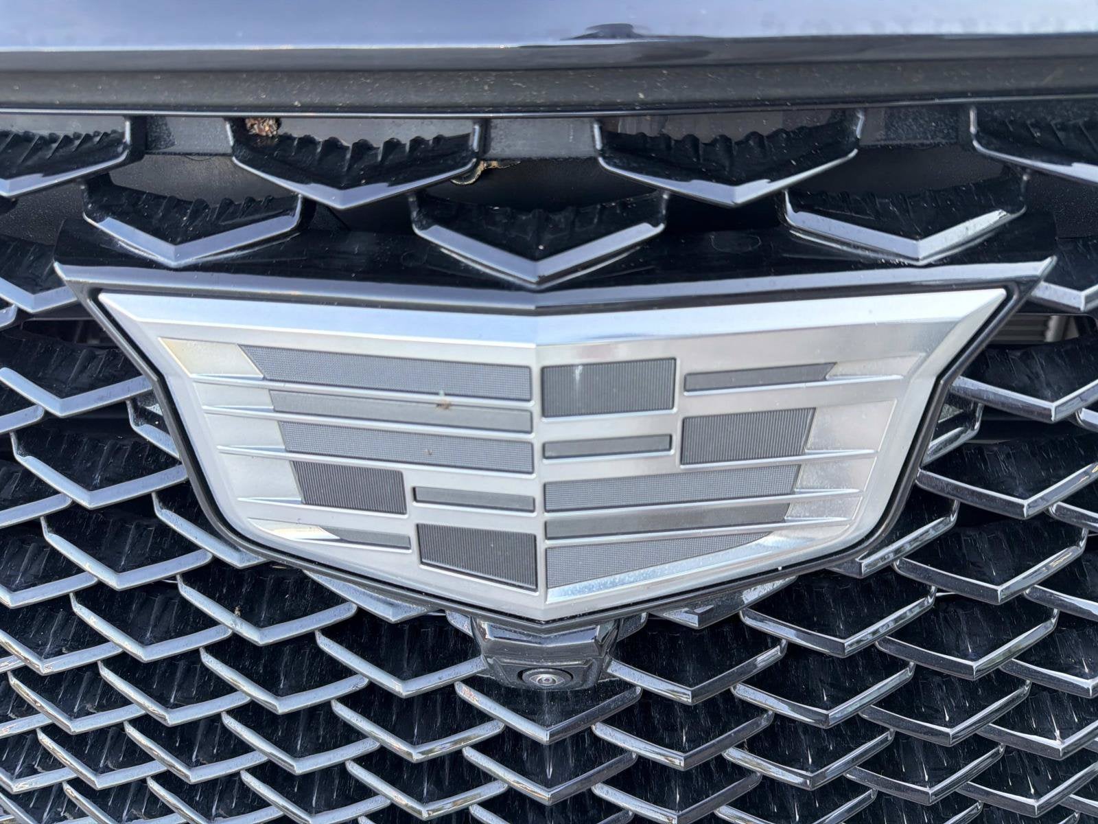 2026 Cadillac Escalade 4WD Platinum Sport